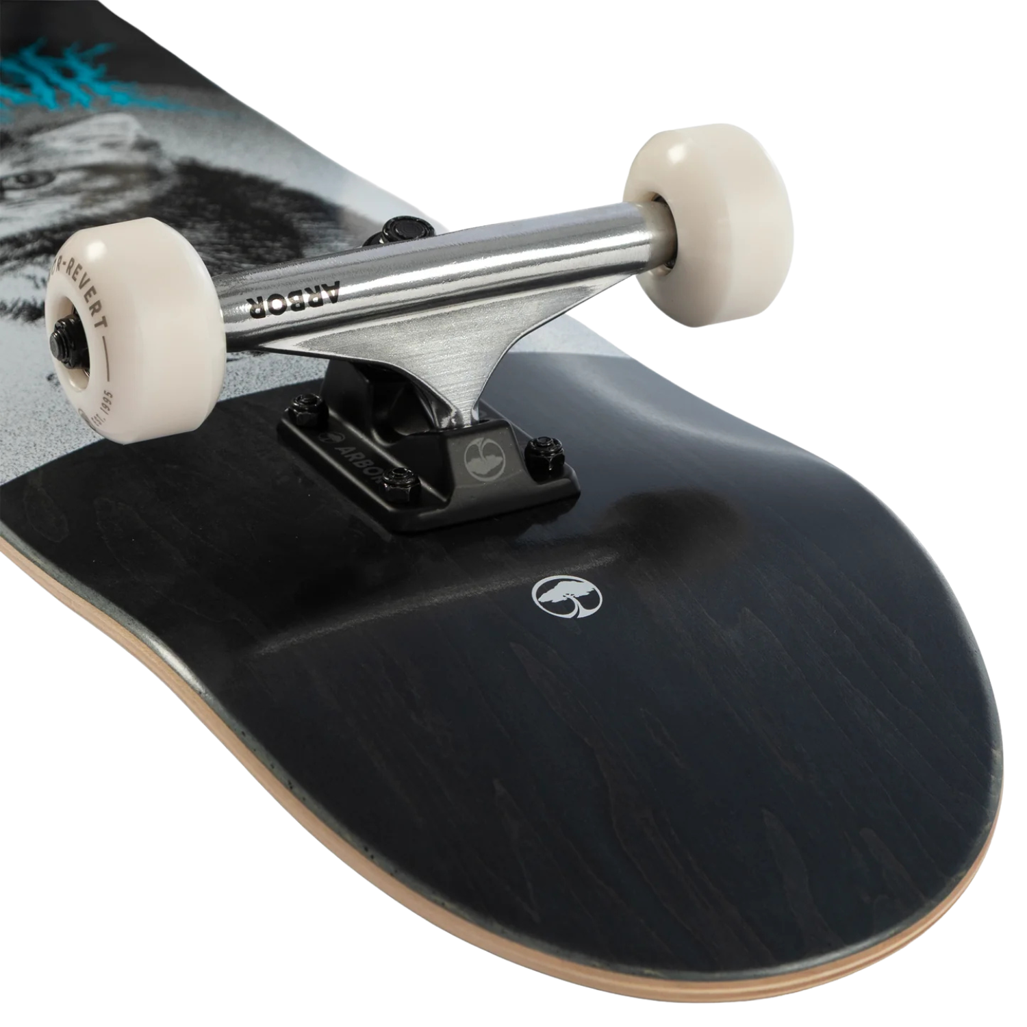 Arbor Kitten Complete Skateboard