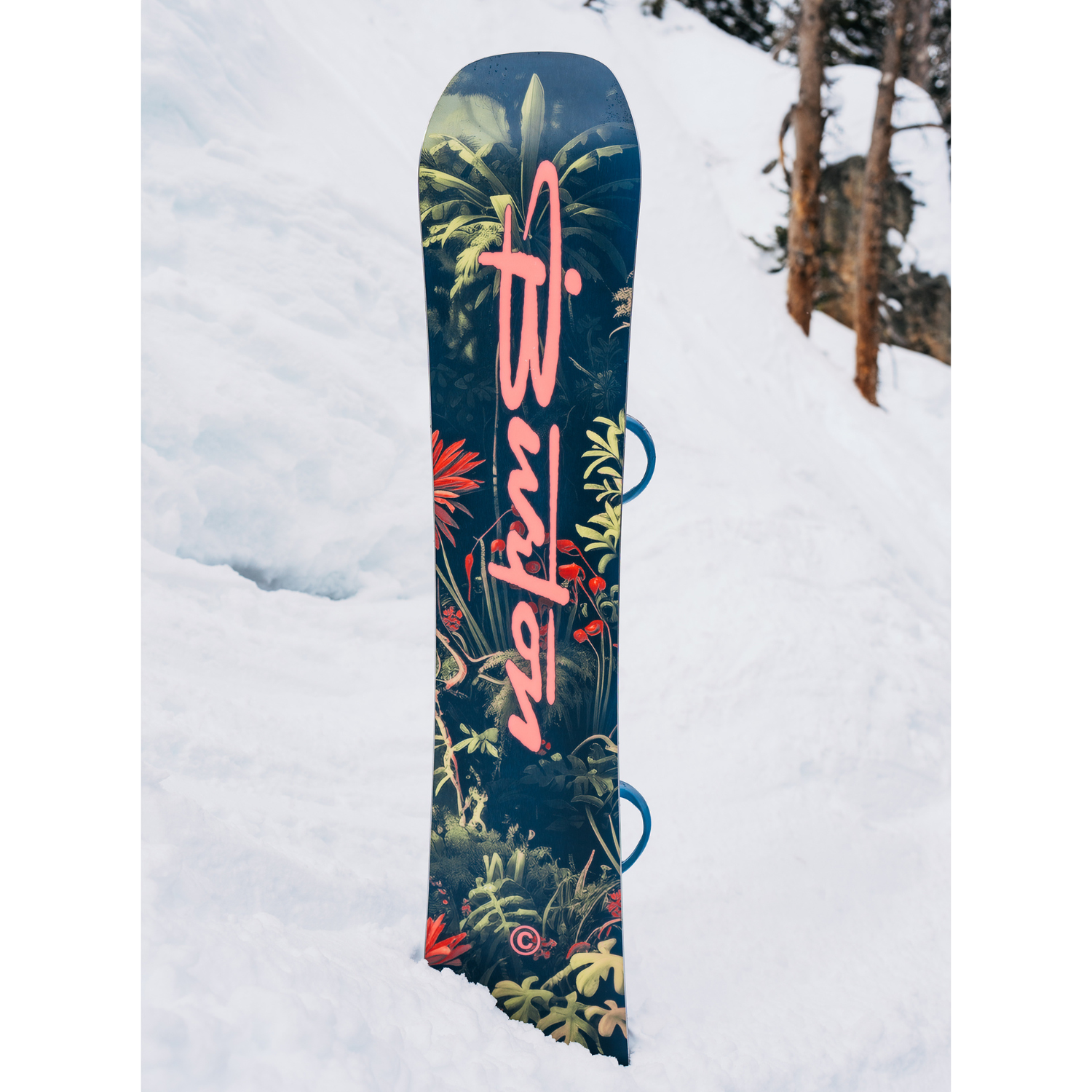 Burton Custom Camber Jungle Snowboard 2027 - Men's