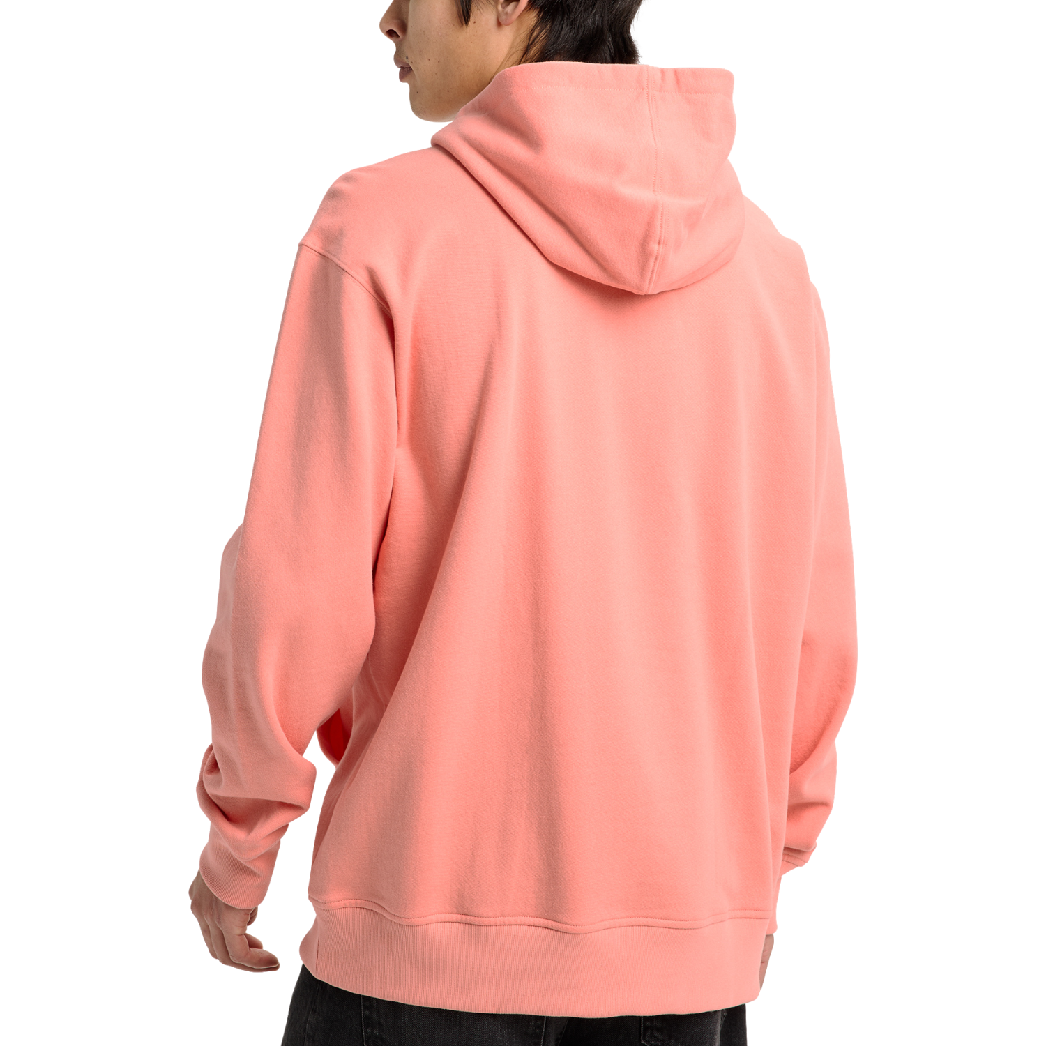 SUNRISE CORAL