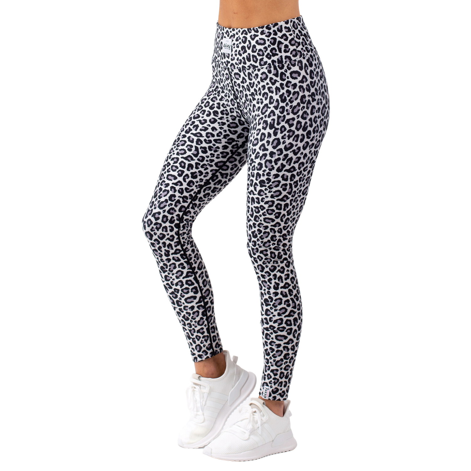 Team Snow Leopard