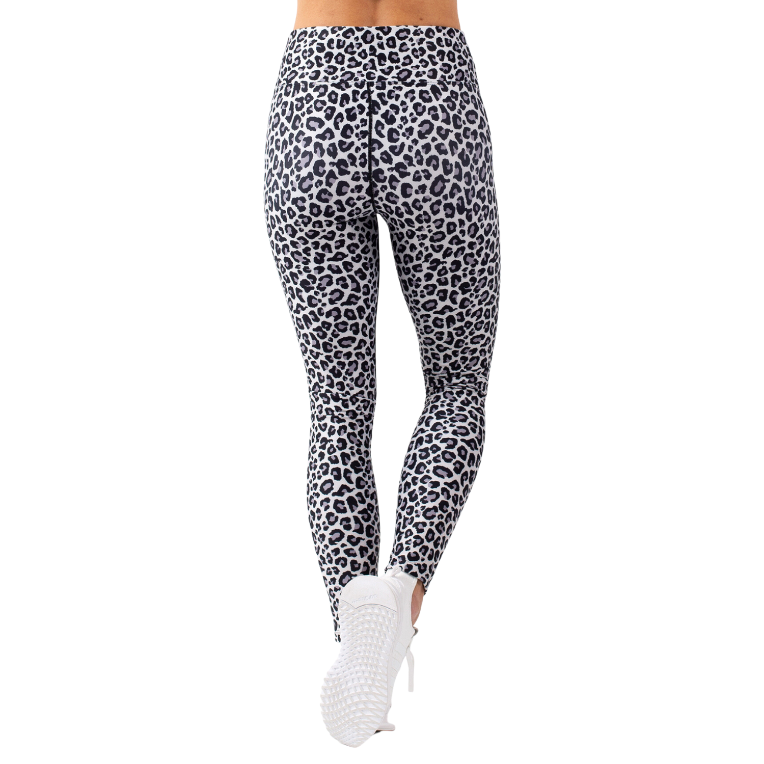 Team Snow Leopard