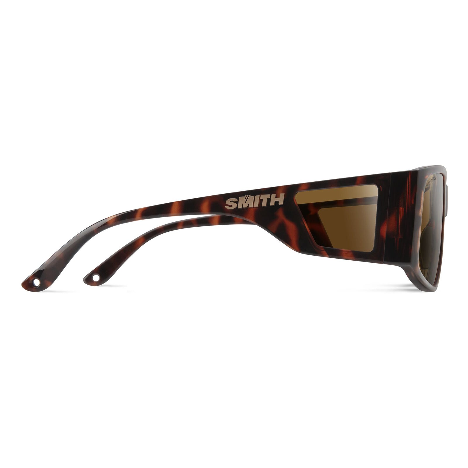 Tortoise | ChromaPop Brown