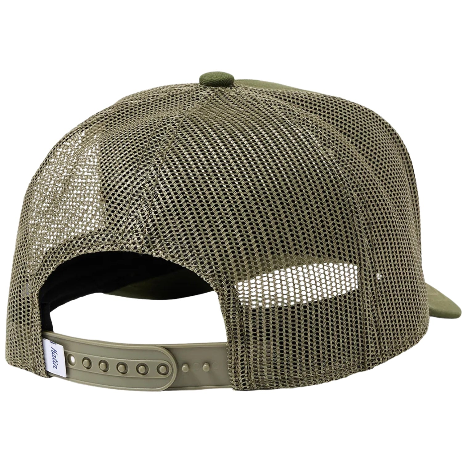 OLIVE