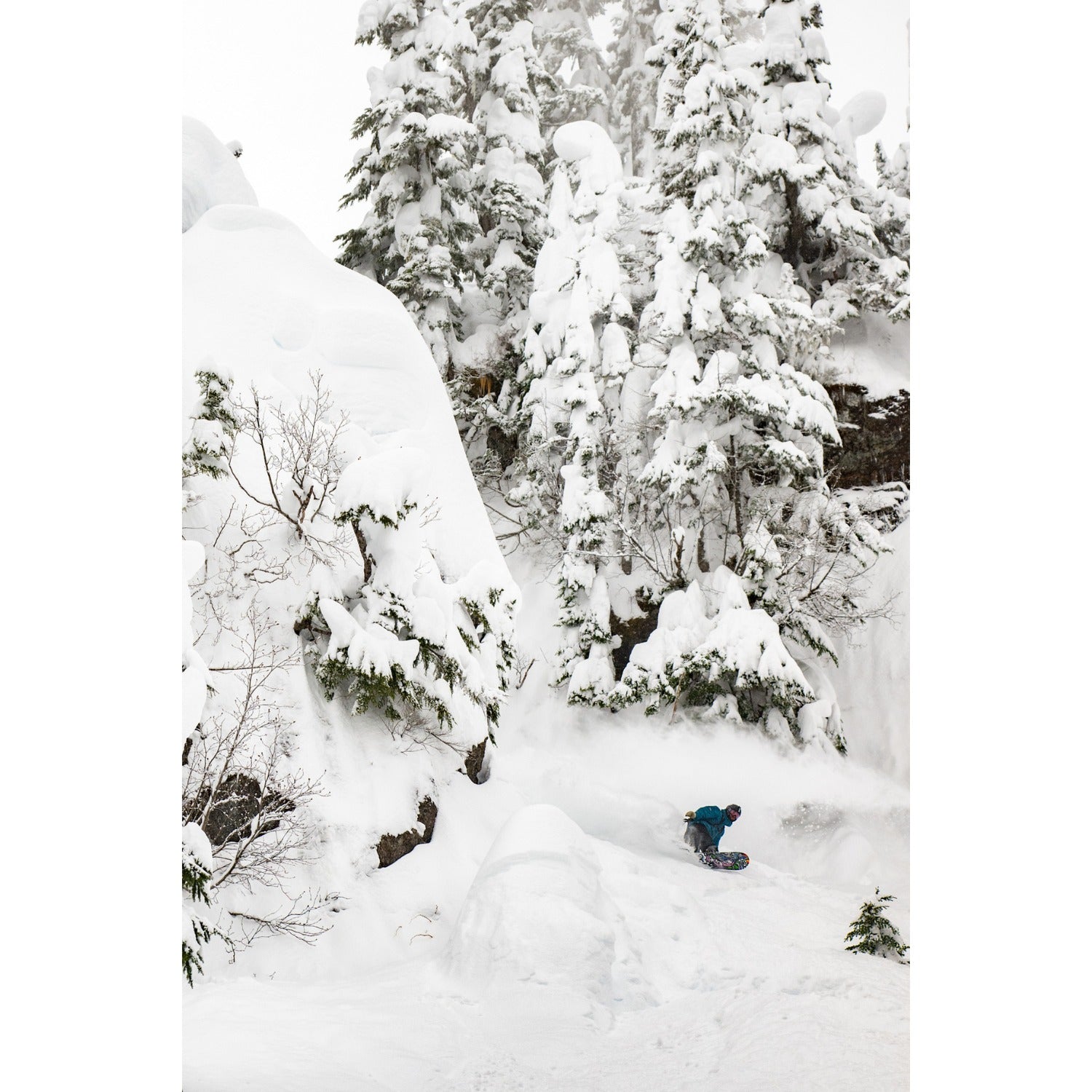 Lib Tech Jamie Lynn Snowboard 2025 - Men's