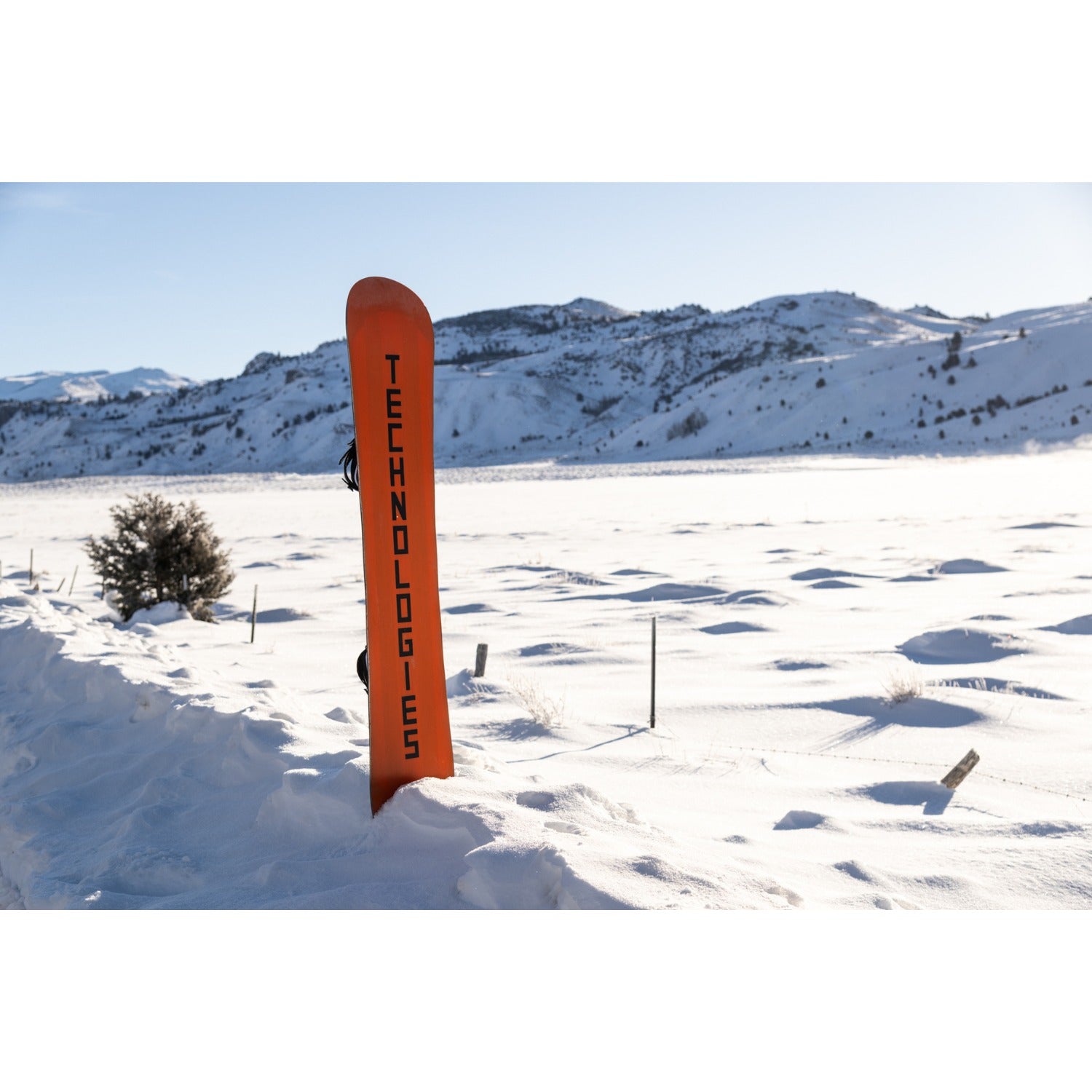 Lib Tech TRS Snowboard 2025 - Men's