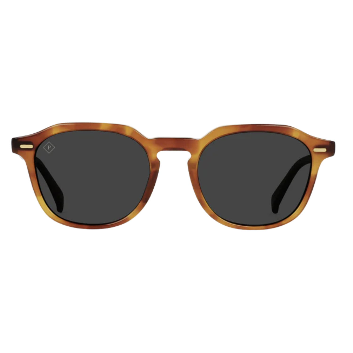 SANTA FE/SMOKE POLARIZED