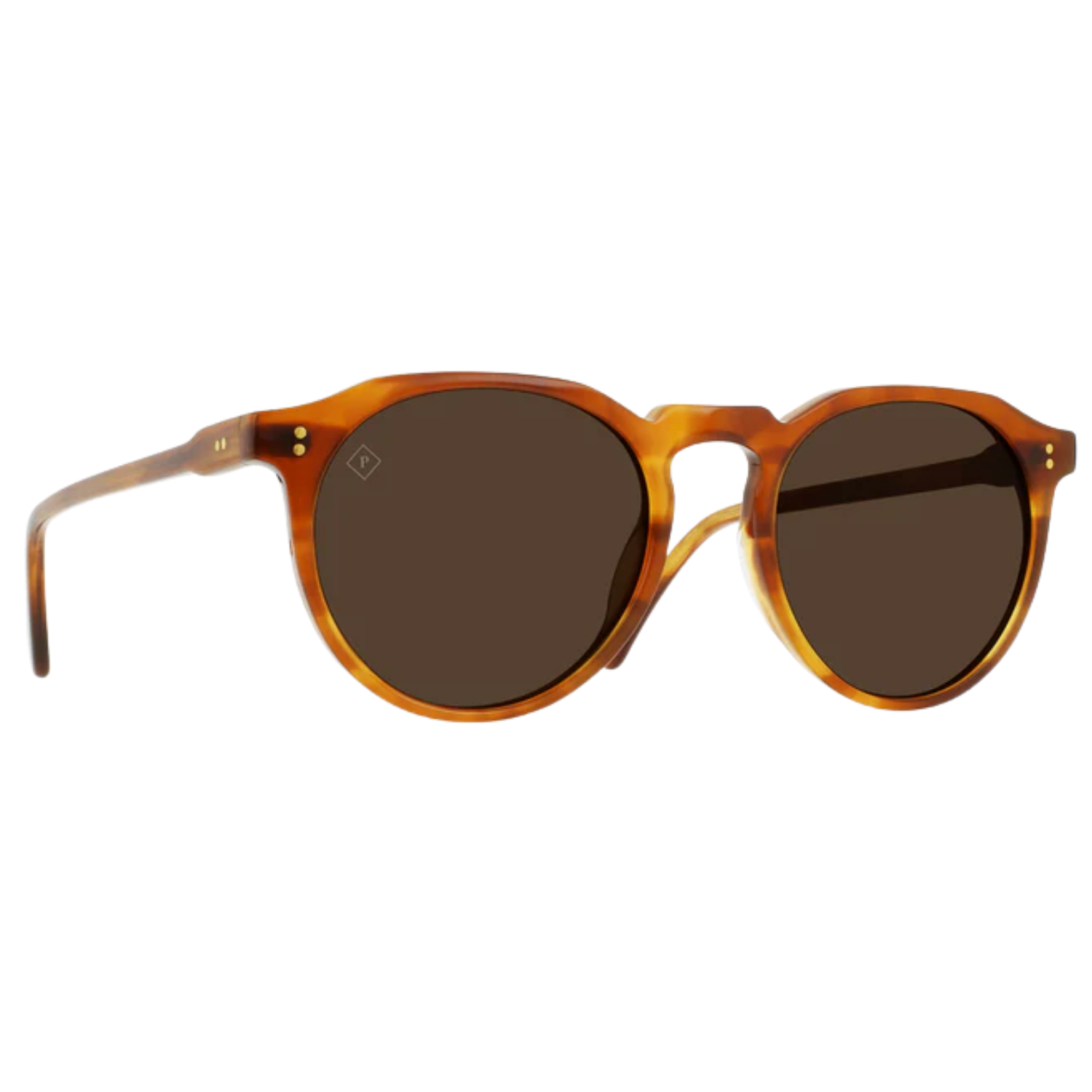 SANTA FE TORTOISE/VIBRANT BROWN POLARIZED