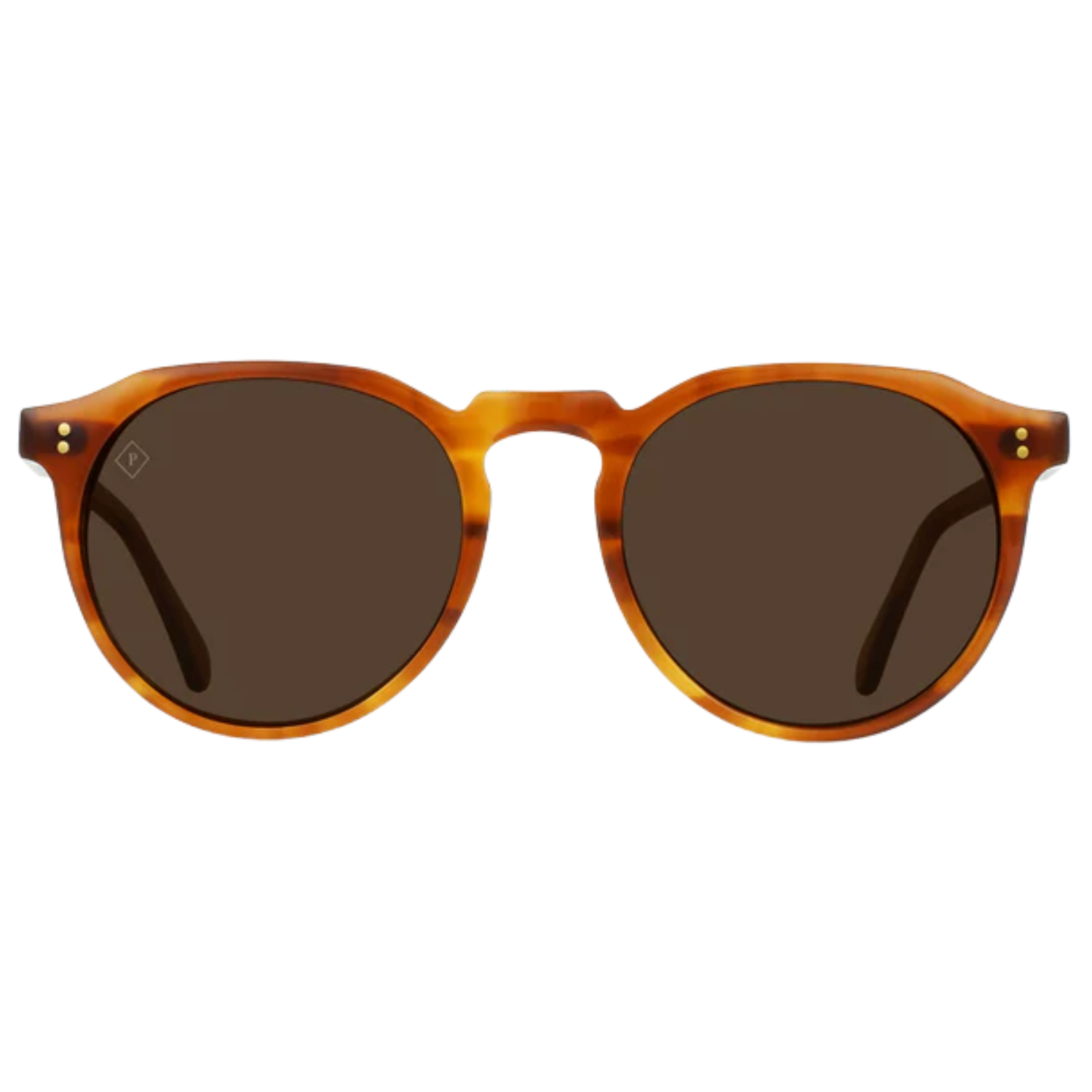 SANTA FE TORTOISE/VIBRANT BROWN POLARIZED