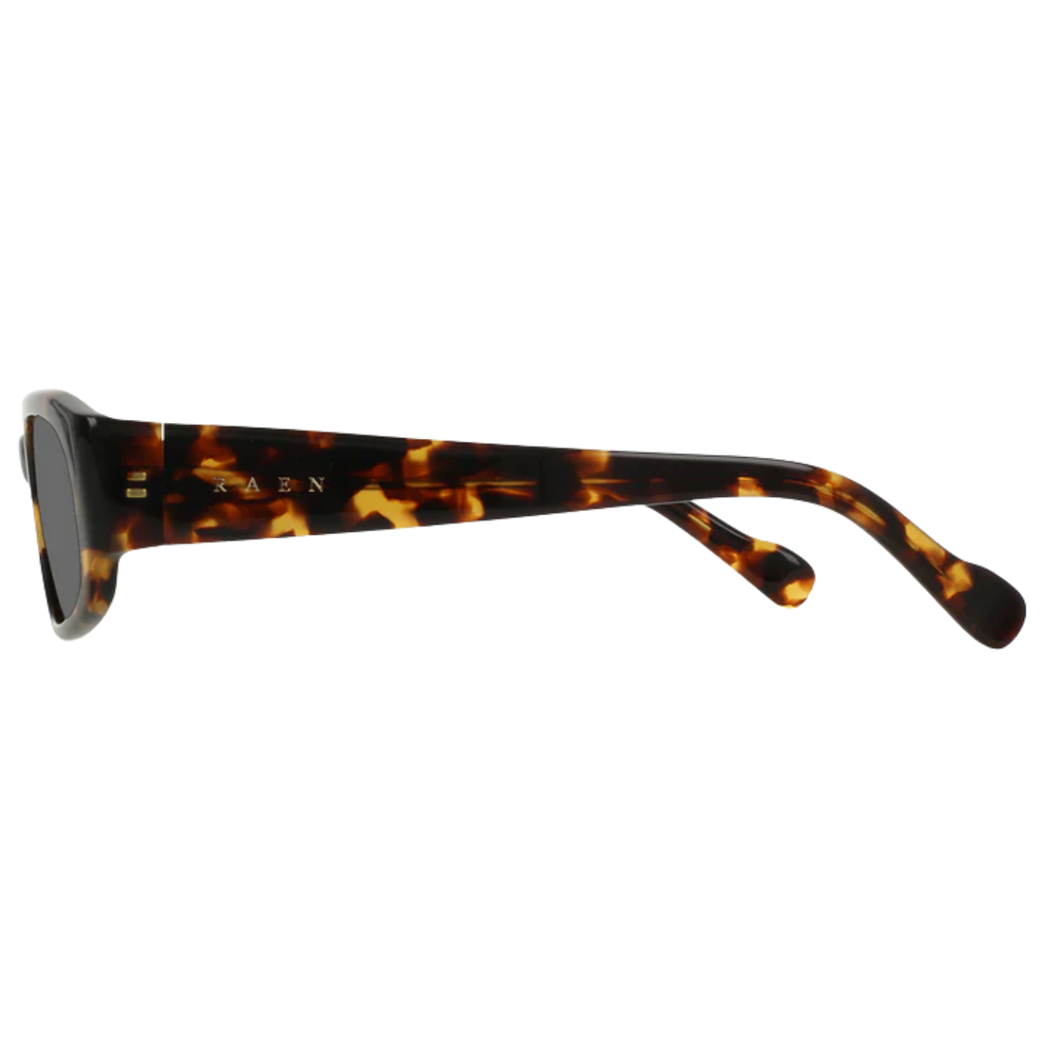 SCOUT TORTOISE/VIBRANT BROWN POLARIZED