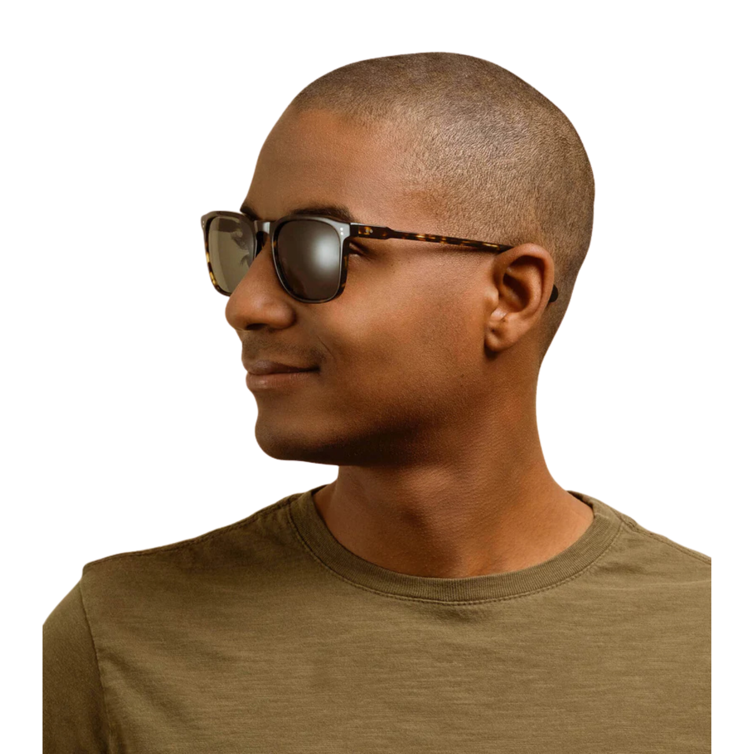 BRINDLE TORTOISE/VECTOR COLORBOOST POLARIZED
