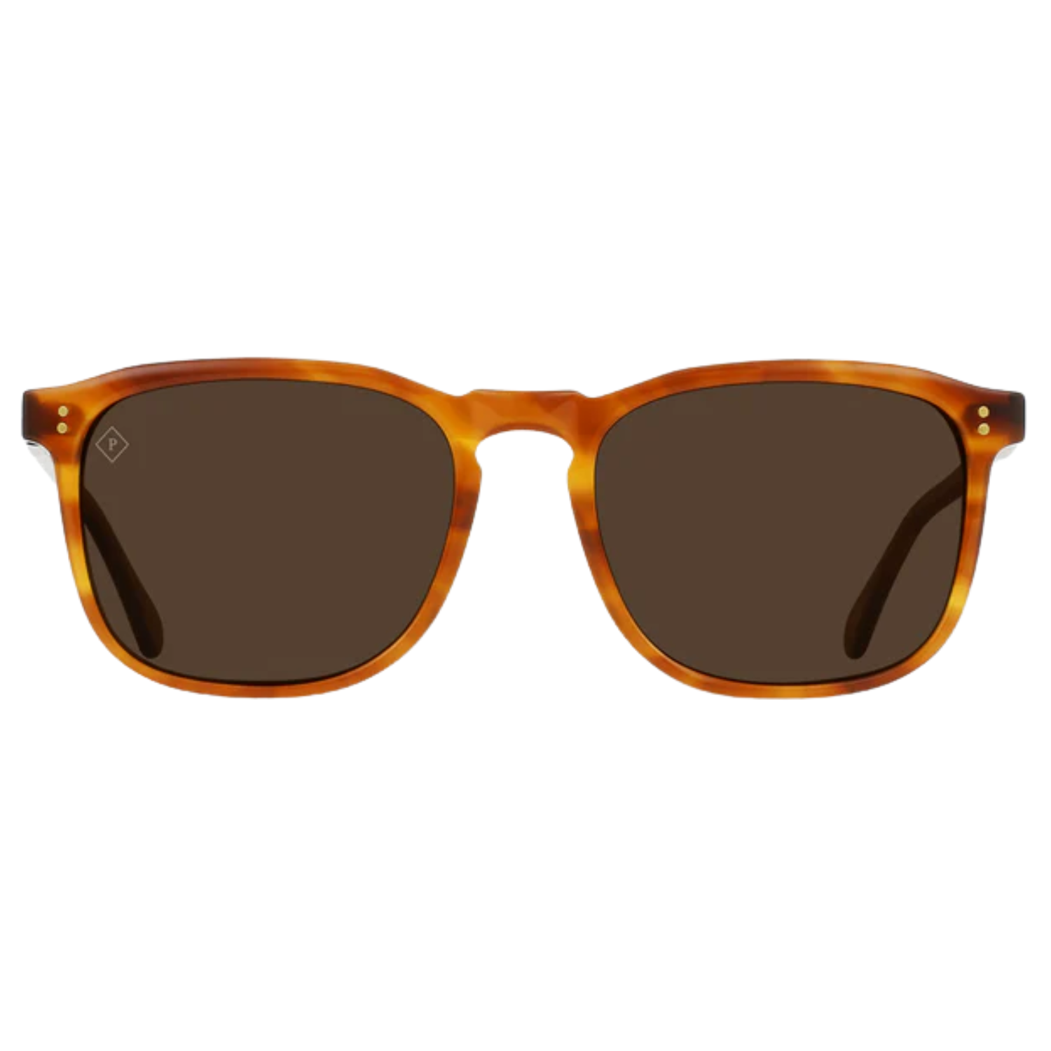 SANTA FE TORTOISE/VIBRANT BROWN POLARIZED