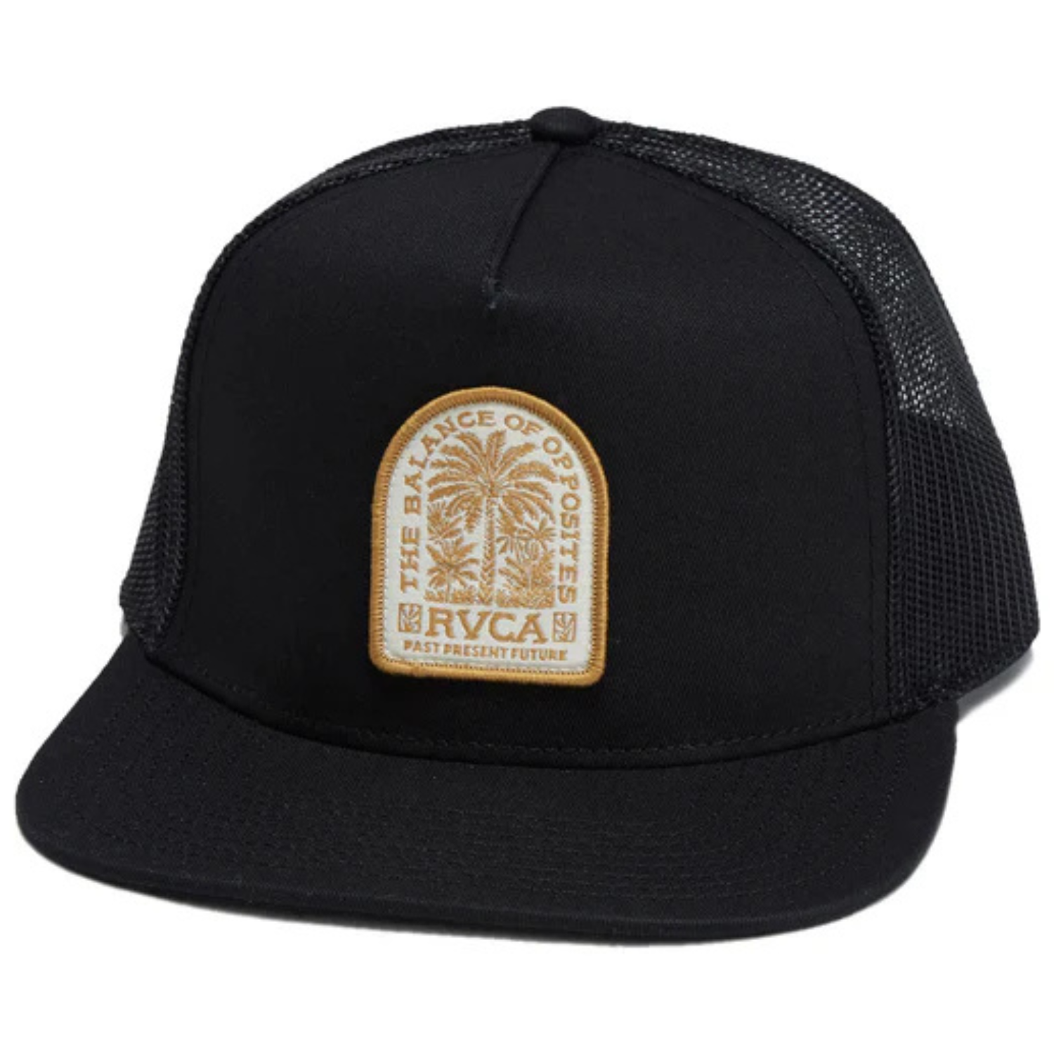 RVCA Valley Palm Snapback Hat