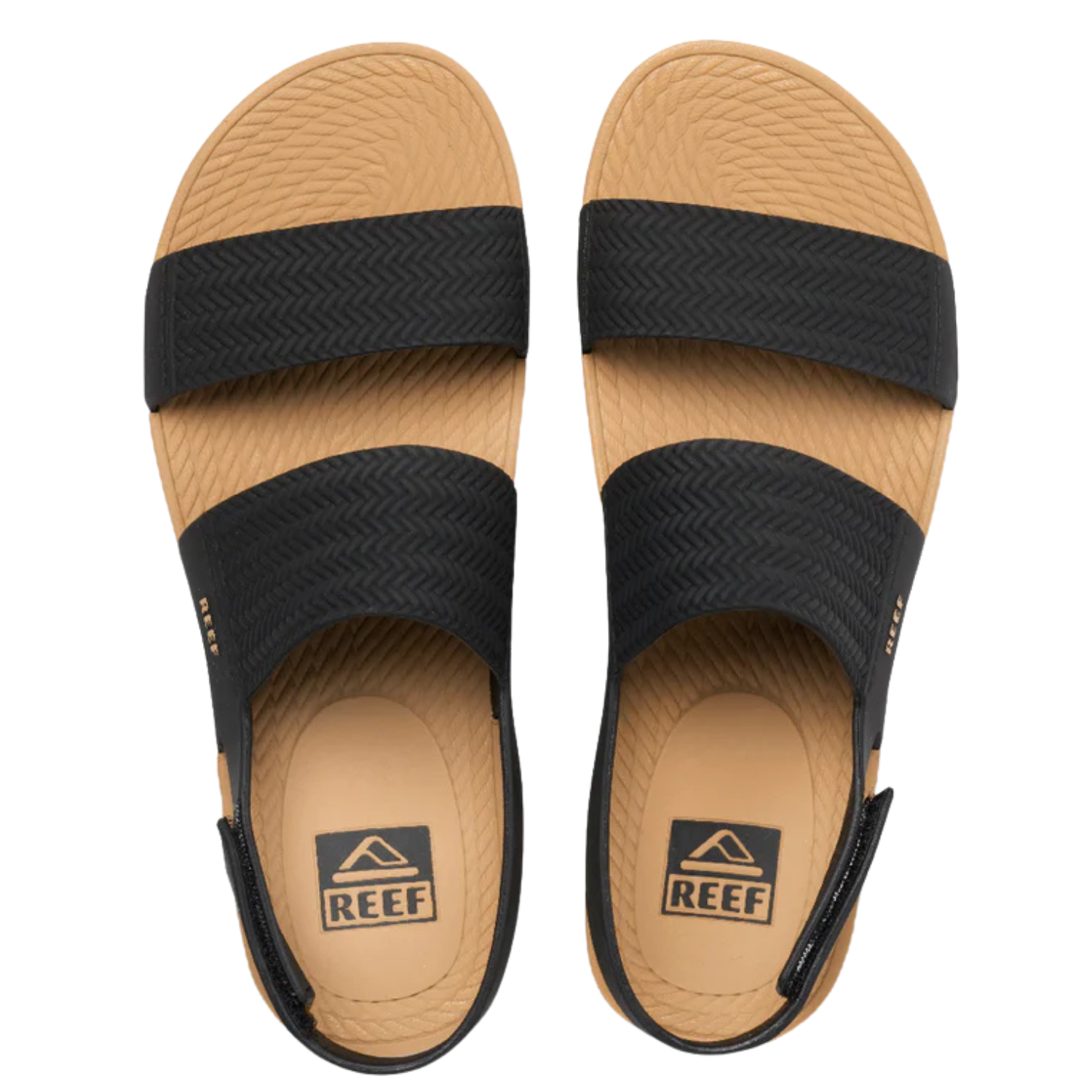 Black/Tan