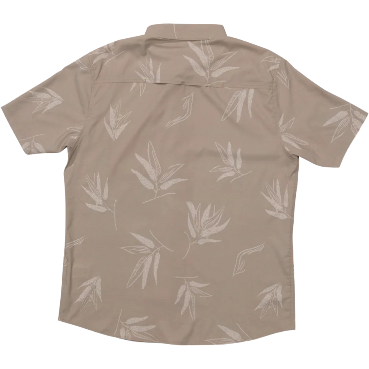 Dark Khaki