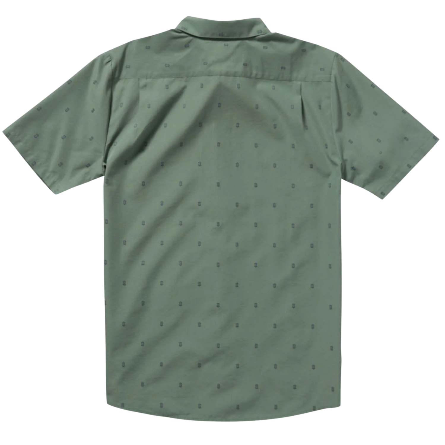 LIGHT OLIVE