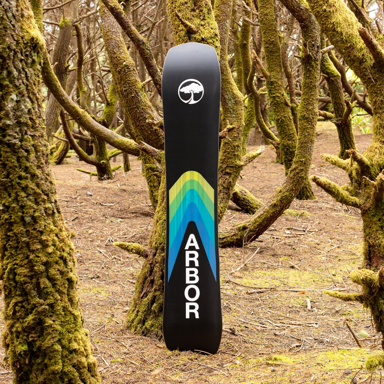 Arbor Crosscut Camber 2024 - Men's Snowboard