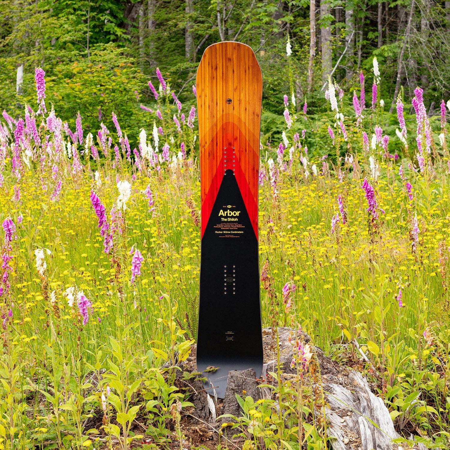 Arbor Shiloh Camber 2024 - Men's Snowboard