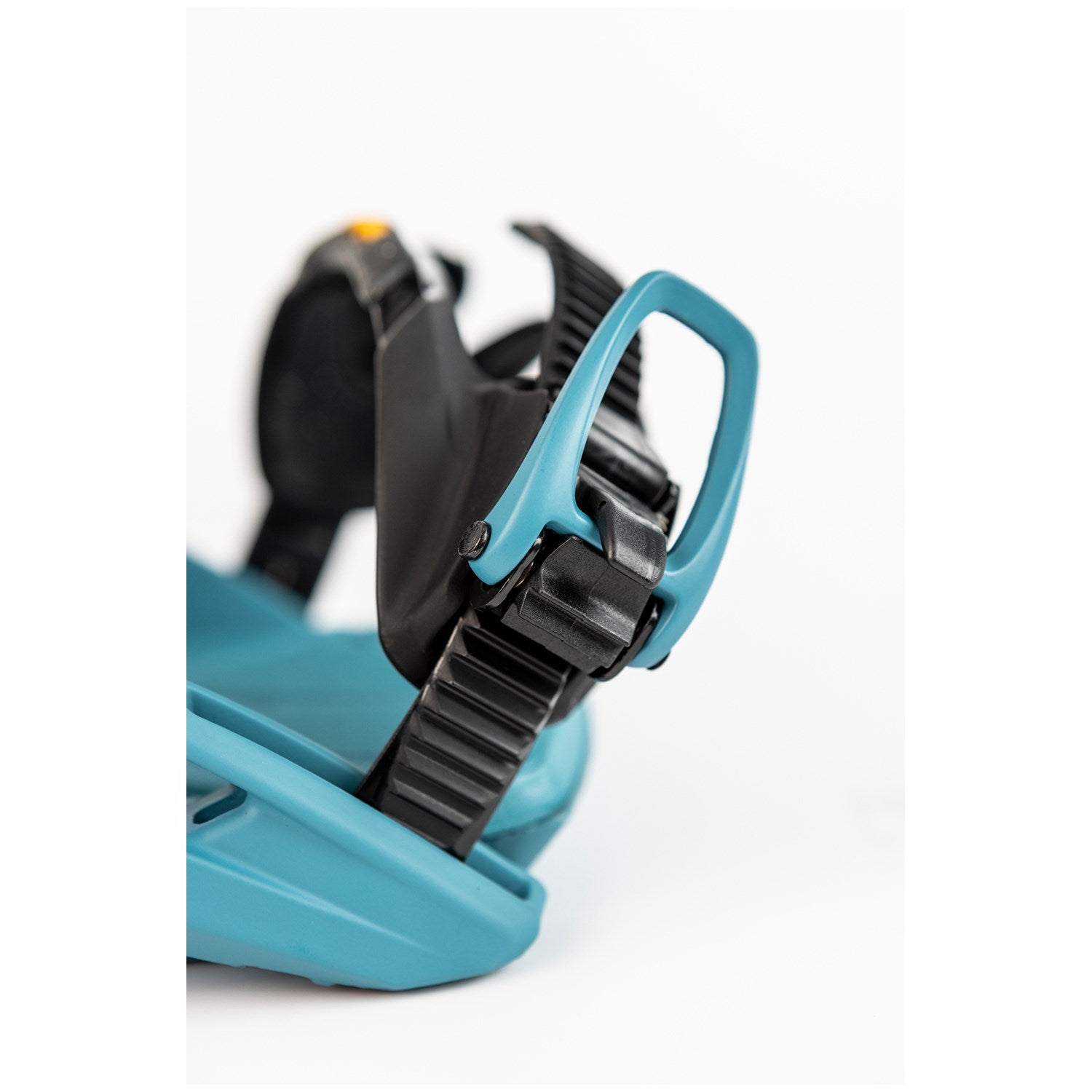 Midnight Turquoise