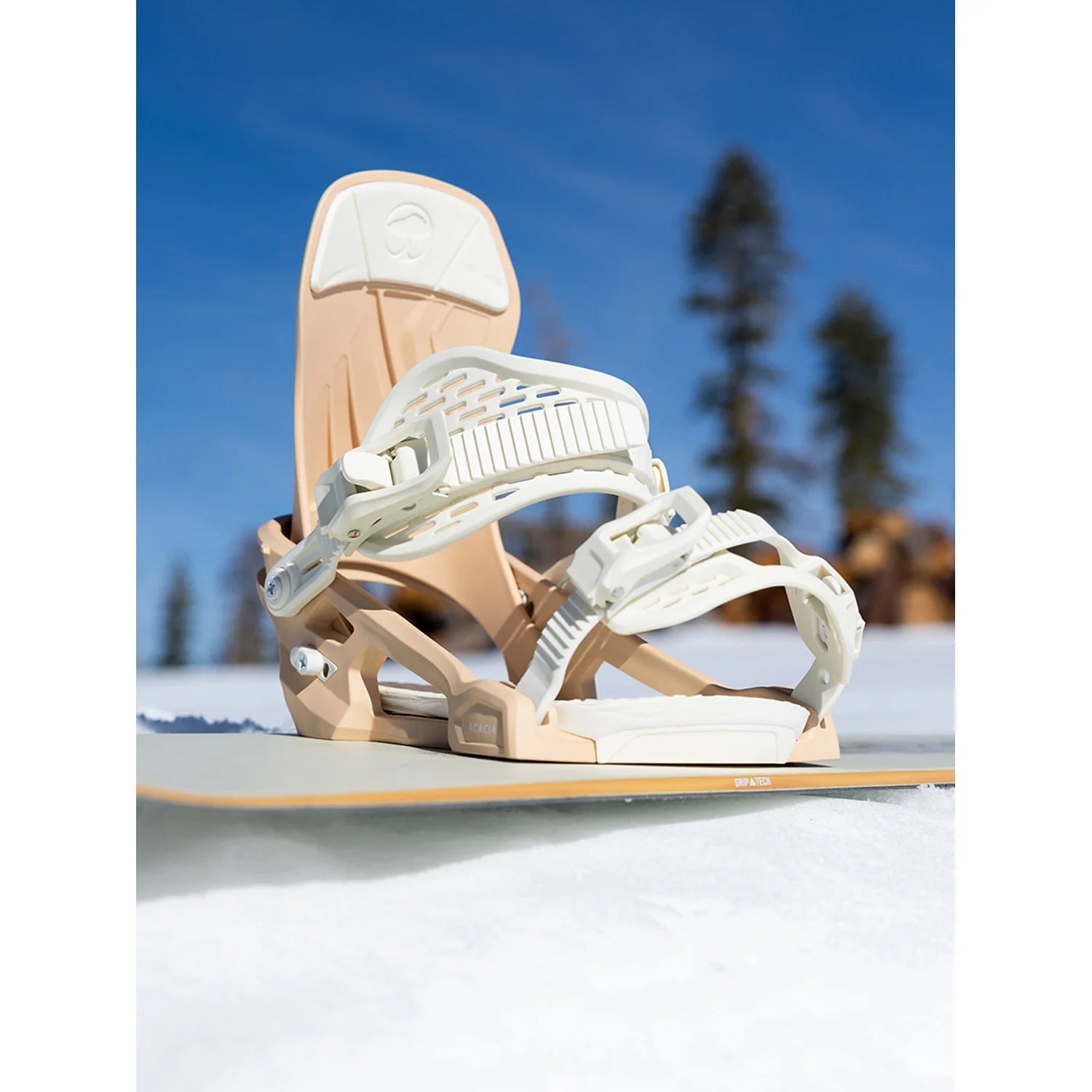 Arbor Acacia Bindings 2027 - Women's