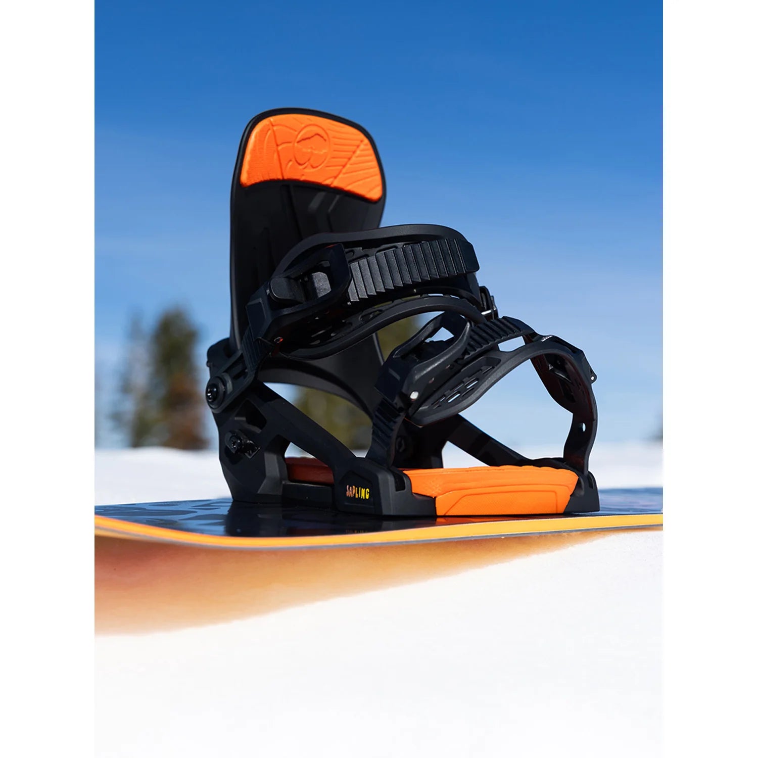 Black/Orange