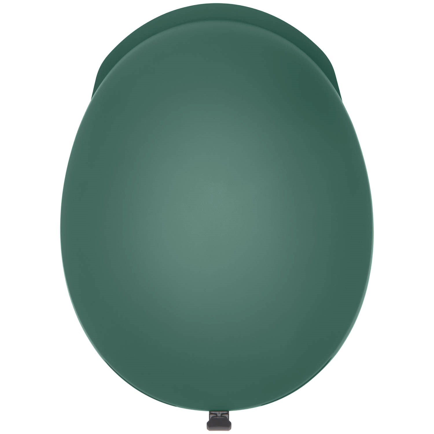 Matte Cactus
