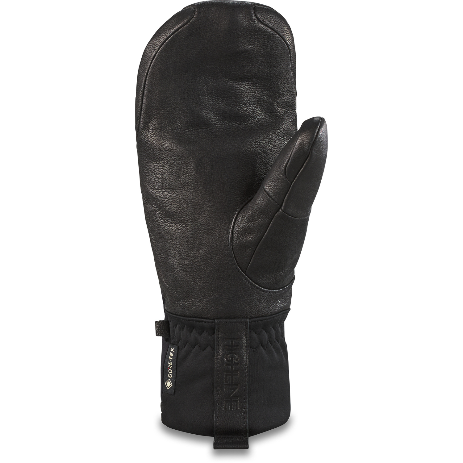 Dakine Baron Gore-Tex Index Mitt 2023 - Women's