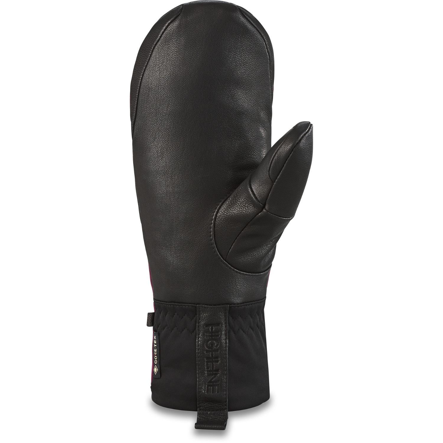 Dakine Baron Gore-Tex Index Mitt 2023 - Women's