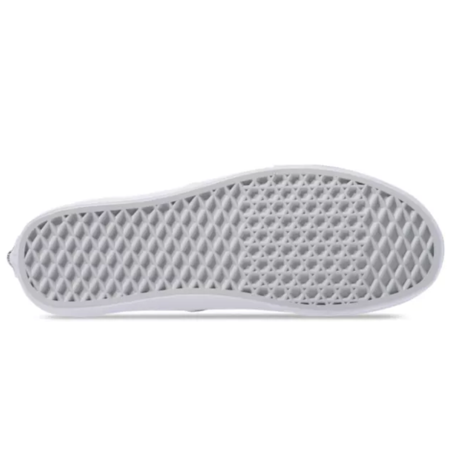 Vans Authentic True White Skate Shoes