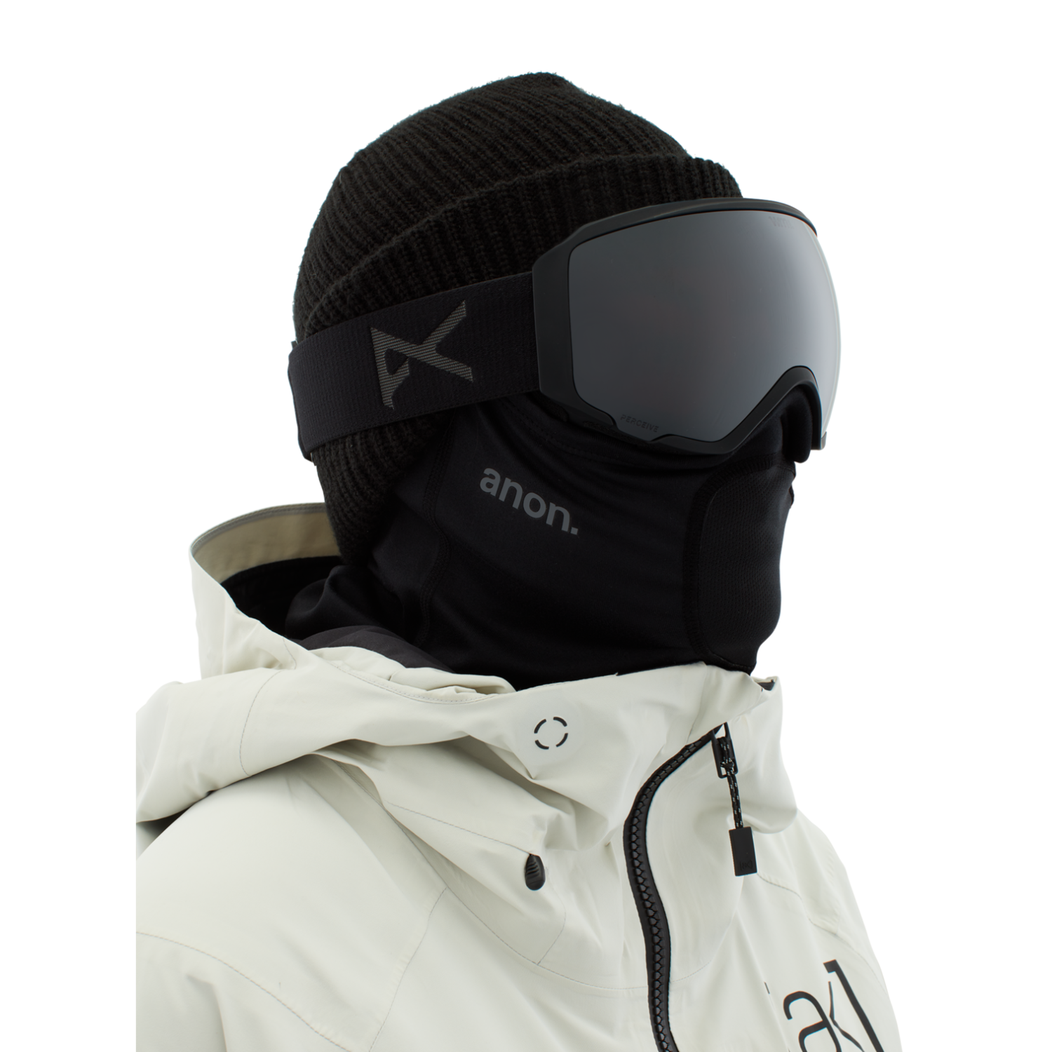 Smoke/Perceive Sunny Onyx + Perceive Variable  Violet