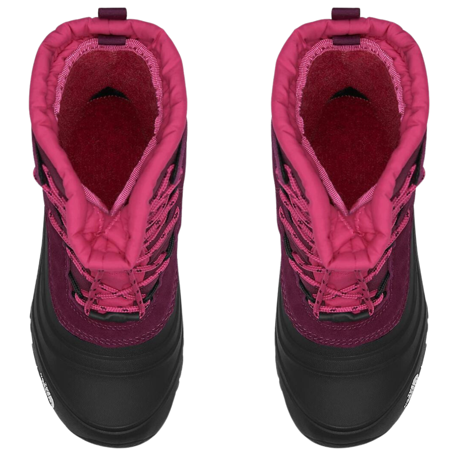 BOYSENBERRY/TNF BLACK