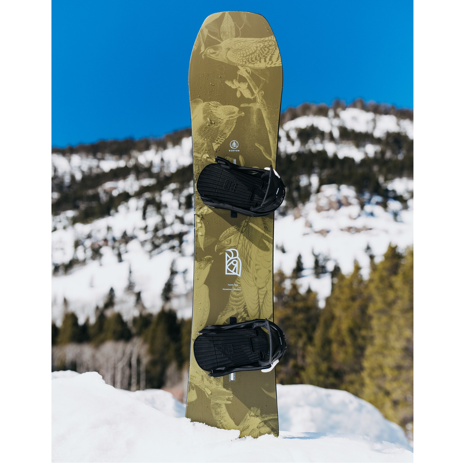 Burton Kids' Family Tree Hometown Hero Snowboard 2026 - Youth