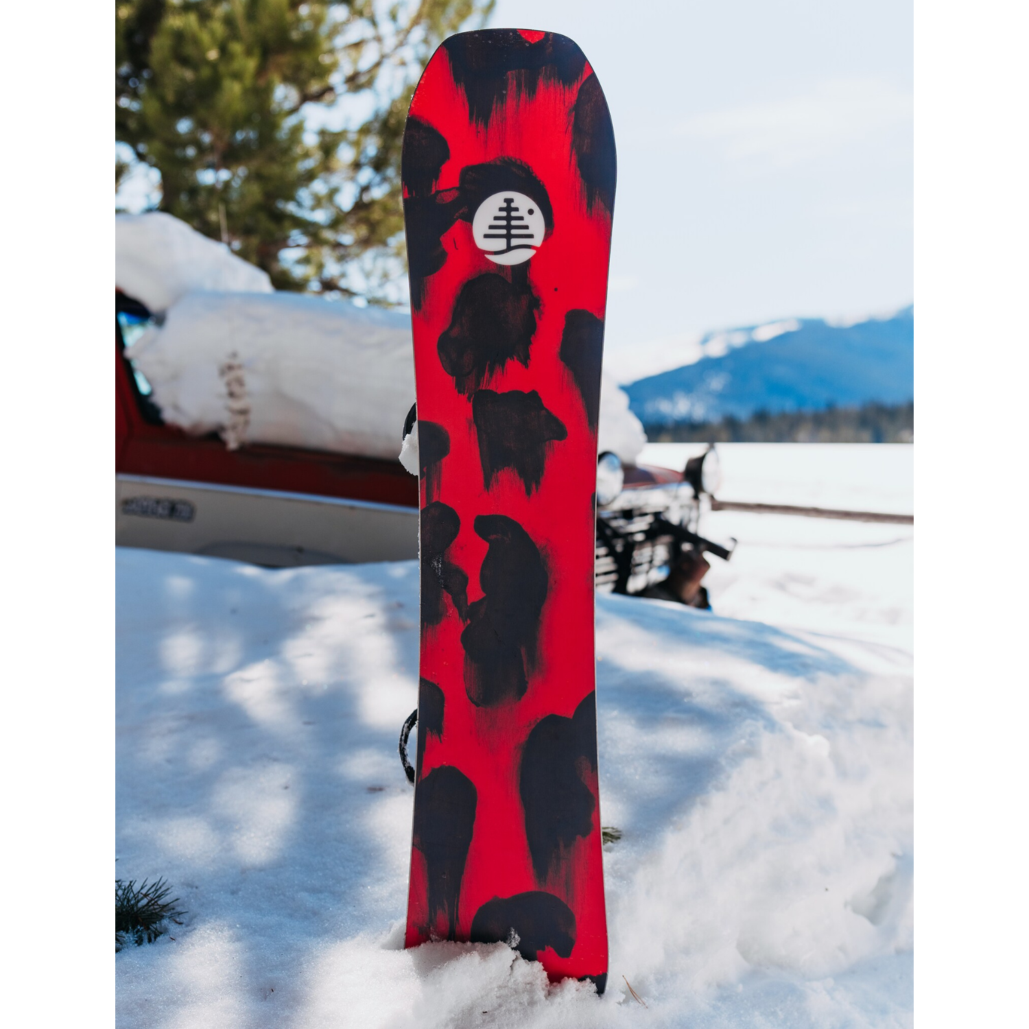Burton Kids' Family Tree Hometown Hero Snowboard 2026 - Youth