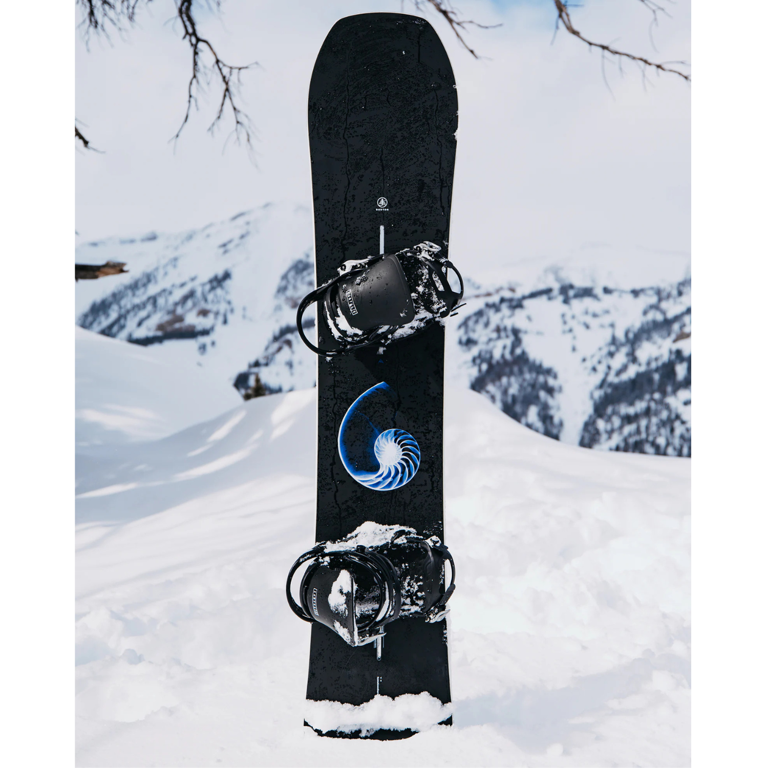 Burton Family Tree Hometown Hero X-Ray Snowboard 2026 - Unisex