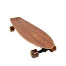 Arbor Groundswell Rally 30,5" Cruiser Complete Skateboard
