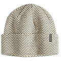 Autumn Estate Beanie 2026