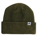 CONIFEROUS