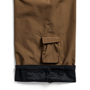 Earth Ship Brown