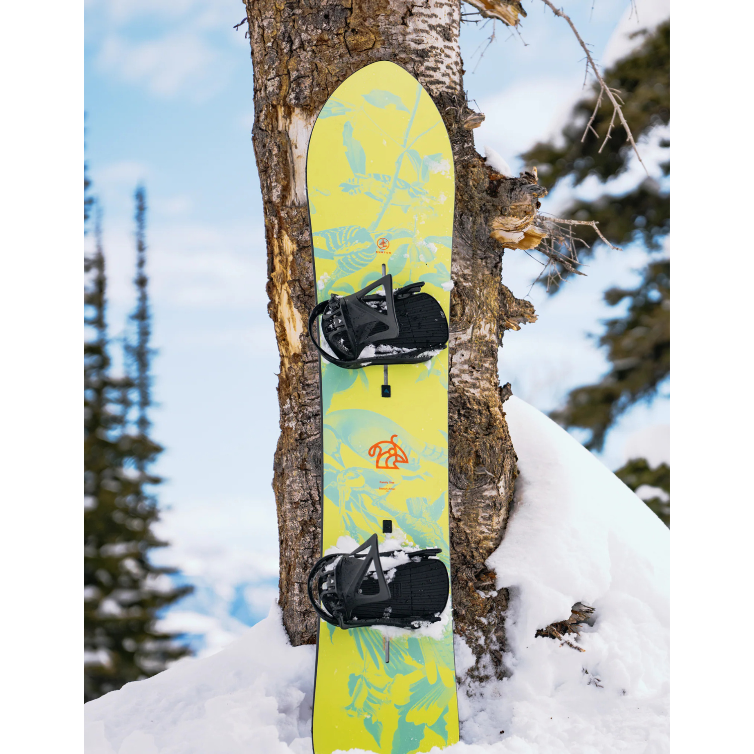 Burton Family Tree Sketch Artist Snowboard 2026 - Men's
