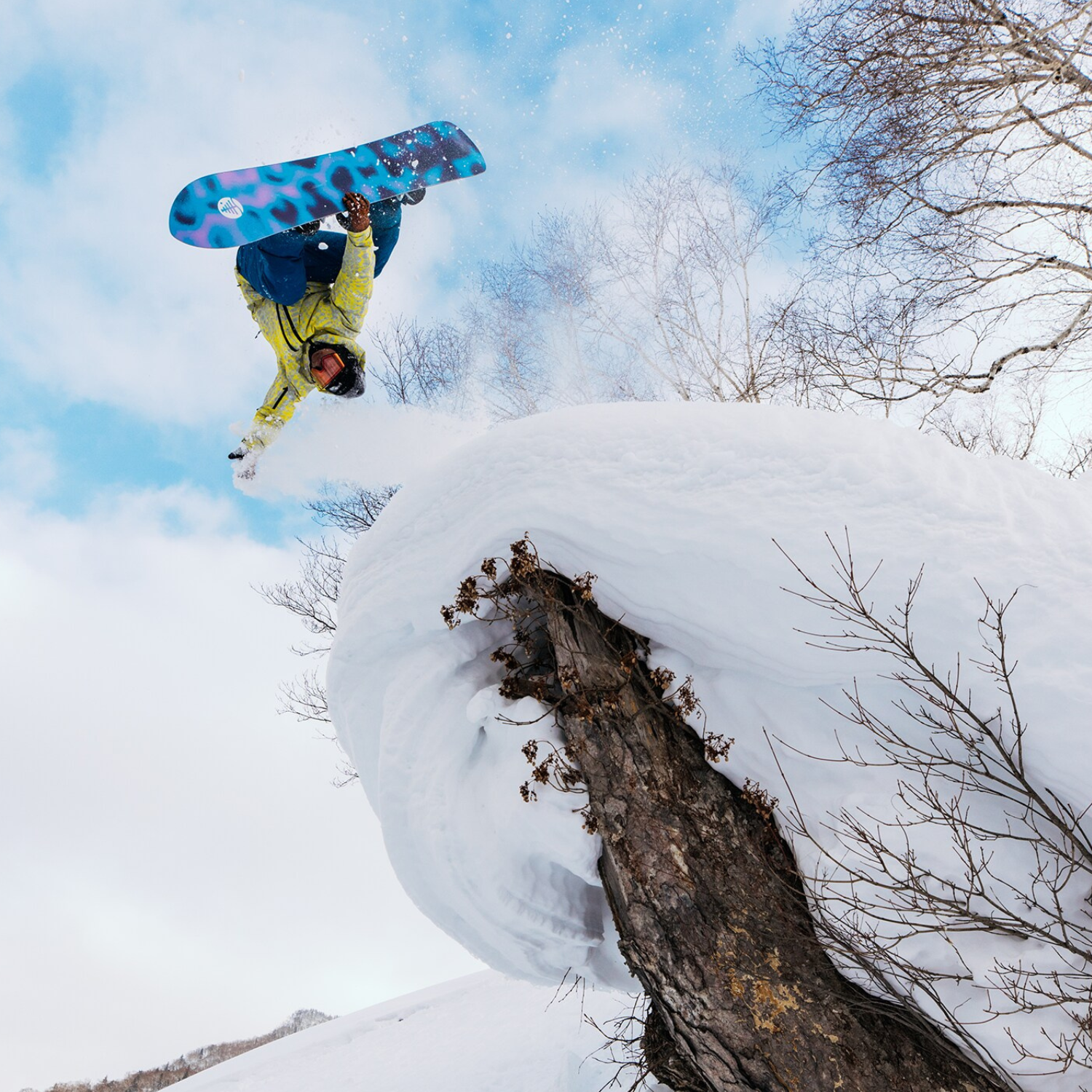 Burton Family Tree Sketch Artist Snowboard 2026 - Men's