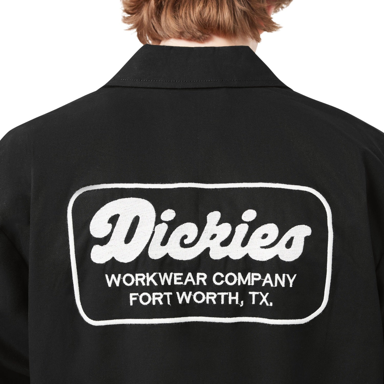 Dickies Lewistown L/S Work Shirt - Men's