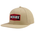 Dickies Logo Patch Flat Bill Cap