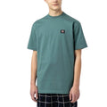 Dickies Skateboarding Mount Vista S/S Tee - Men's