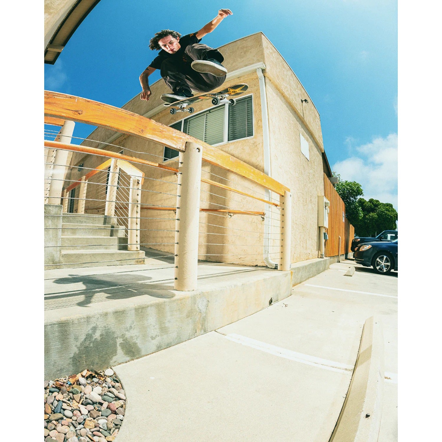 Black / White / Gold