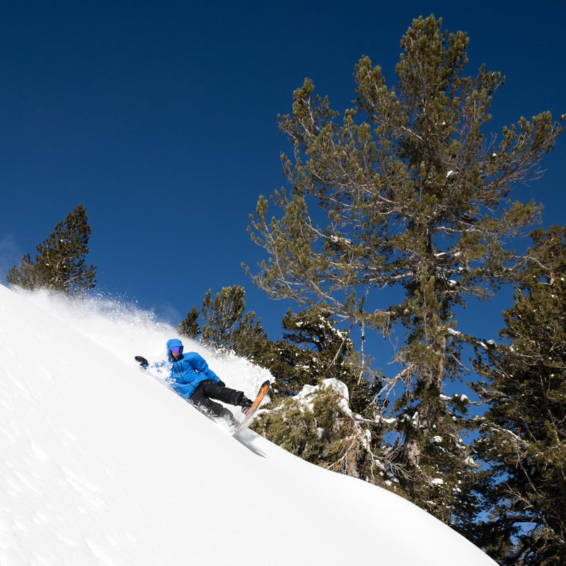 Lib Tech Dynamo Snowboard 2025 - Men's