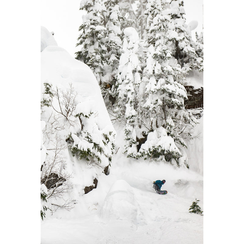 Lib Tech Jamie Lynn Snowboard 2025 - Men's