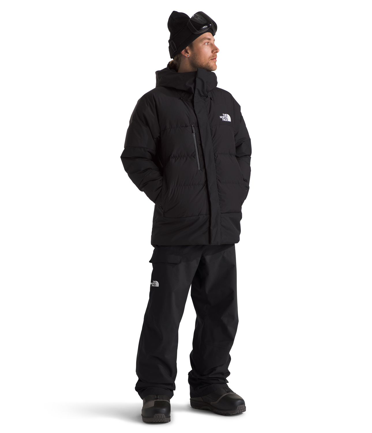 North face men's seymore pants sales