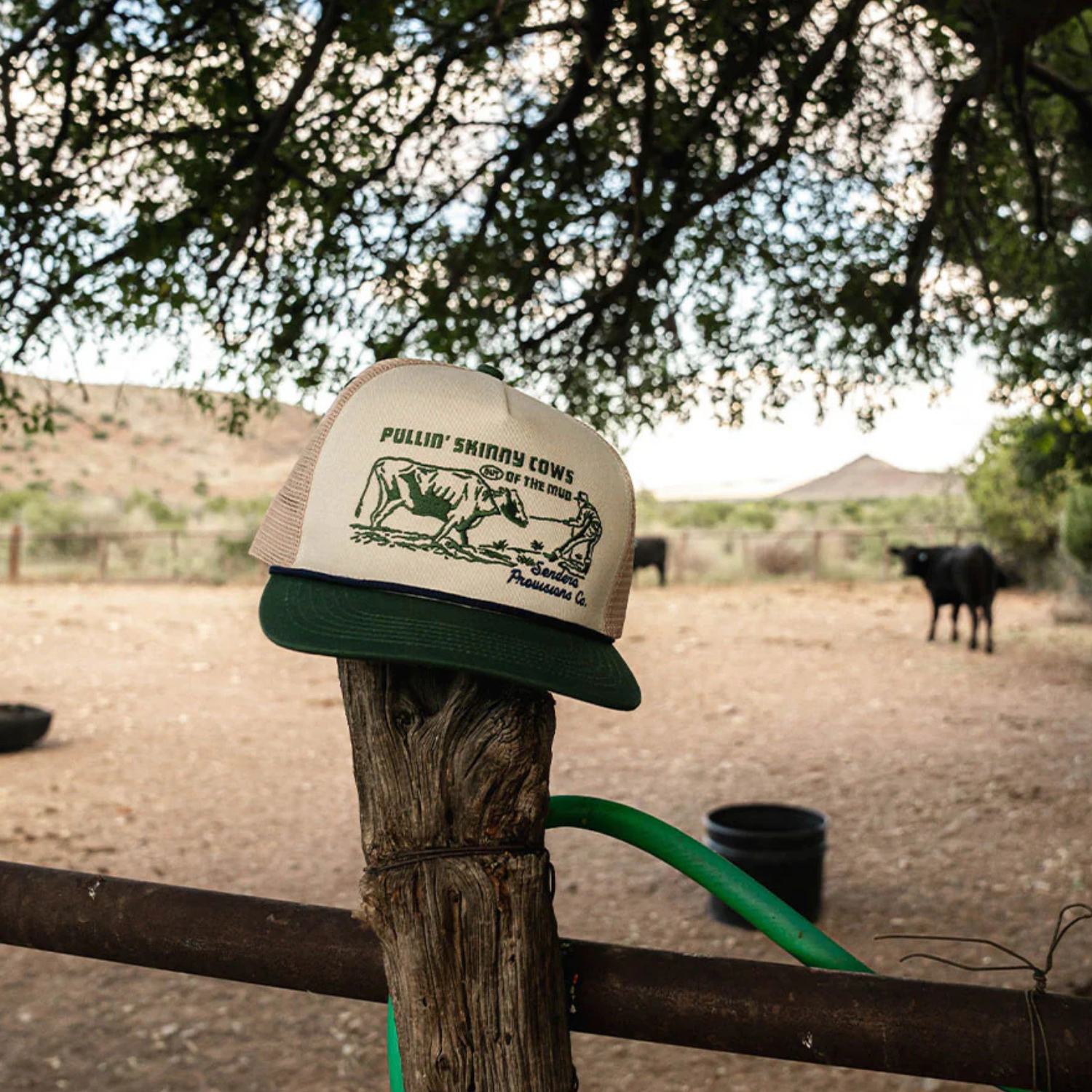 Sendero Skinny Cows Hat