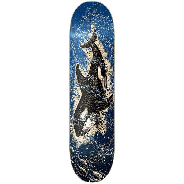Techne Skate Deck