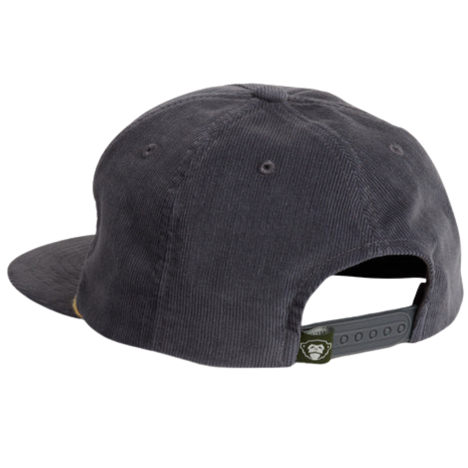 Howler Brothers Surfbird Snapback Hat