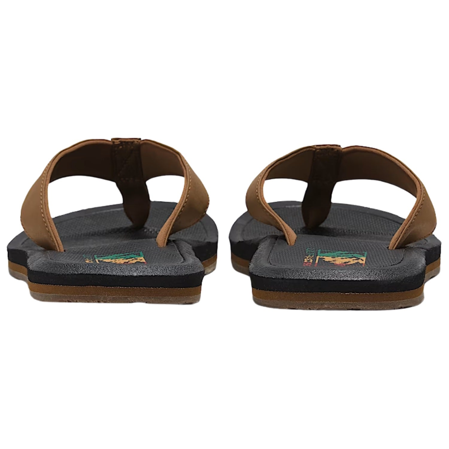 Dachshund / Black / Rasta